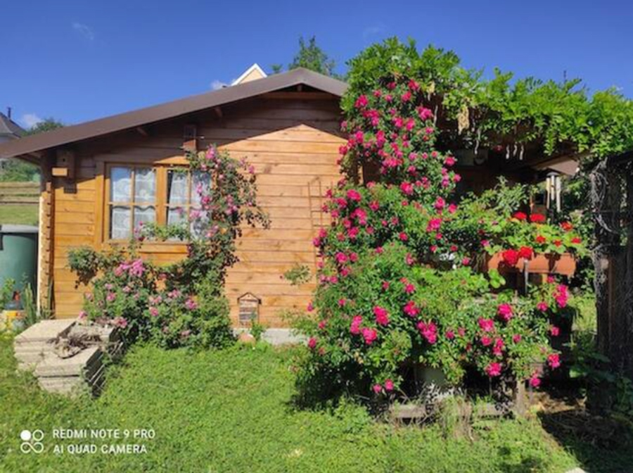 AYURVEDA FRANCE Centre ayurveda Alsace 67 Alsace Wasselonne