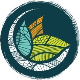 MOUSLI RAFIKA praticien.ne membre d'Ayurvedaen France