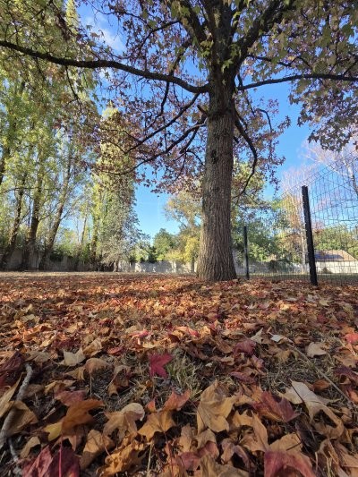 Quand l'automne s'installe en douceur...