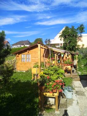  praticien.ne membre d'Ayurvedaen France
