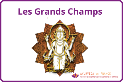  praticien.ne membre d'Ayurvedaen France