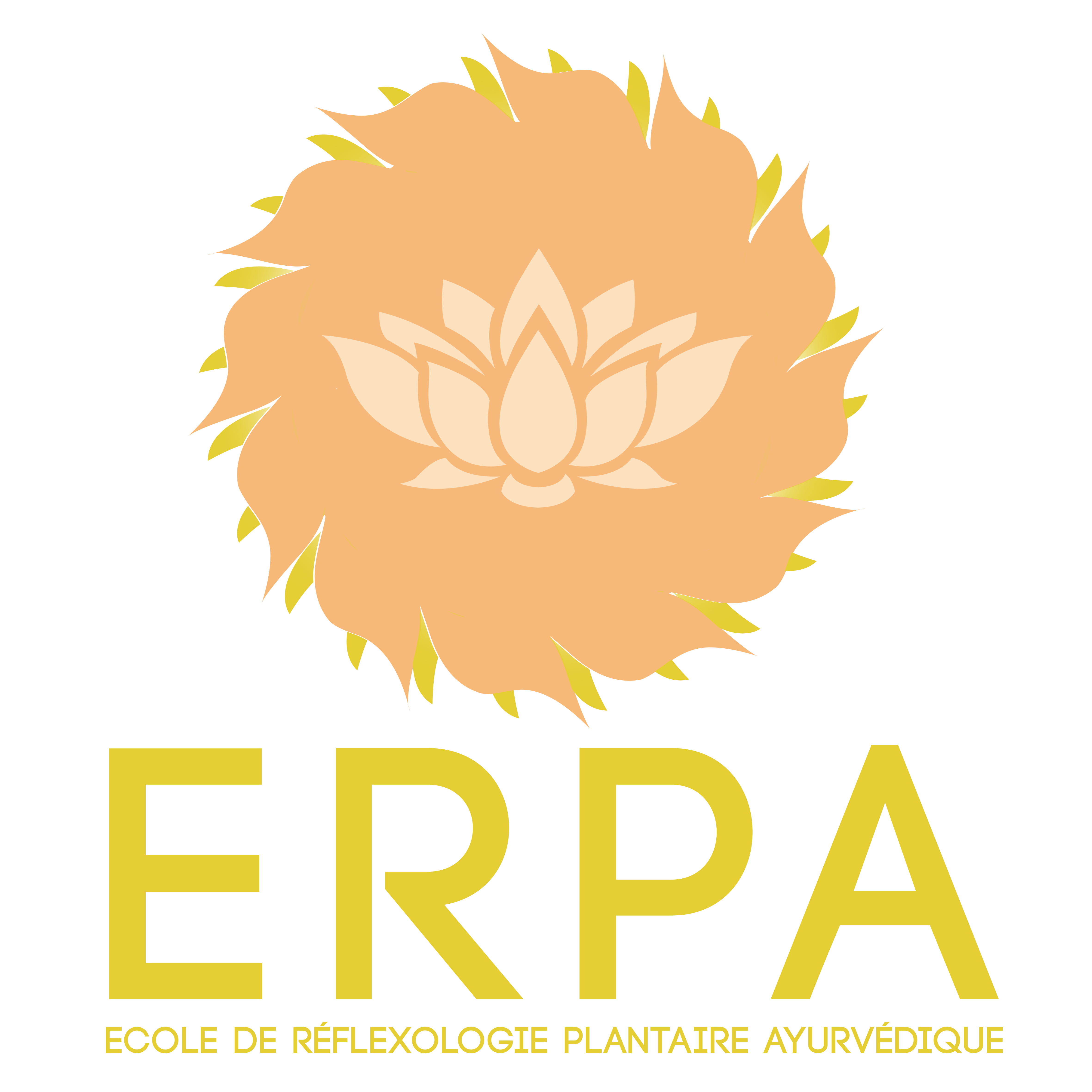 AYURVEDA FRANCE Stage Réfléxologie Ayurvedique